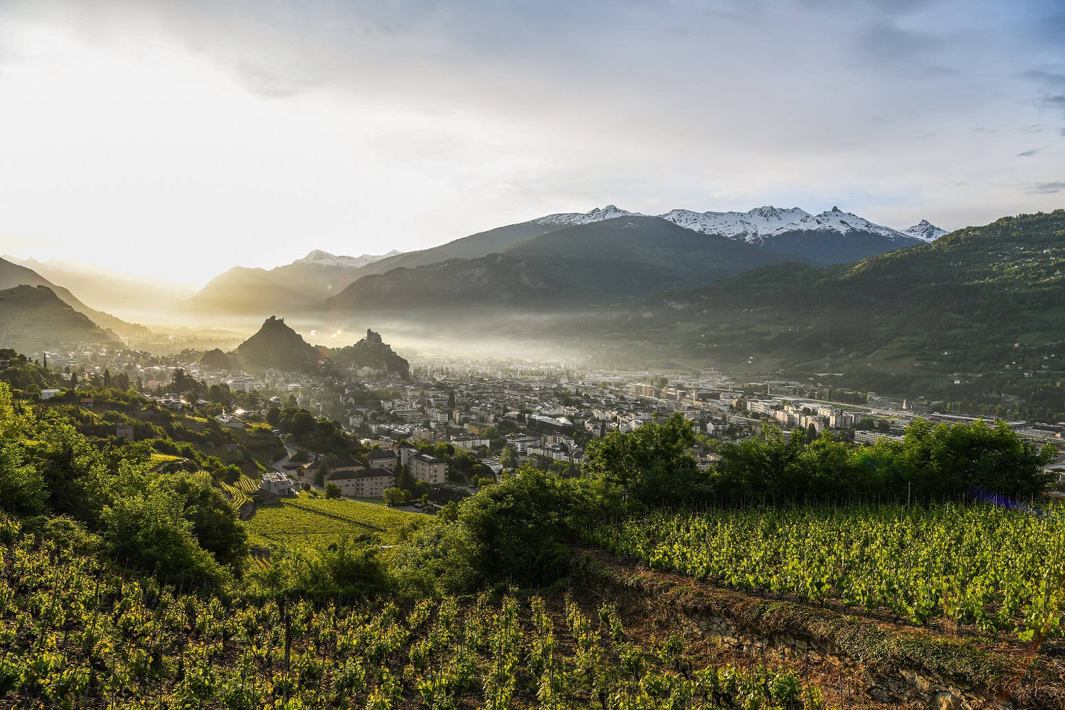 Vinum Montis veut promouvoir l'oenotourisme dans l'ensemble du Valais